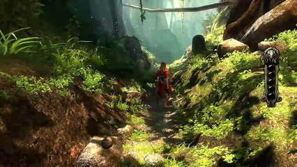 Castlevania: Lords of Shadow online multiplayer - ps3