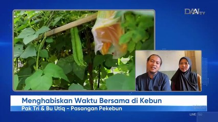 Halo Indonesia (DAAI TV) 7/7/2025