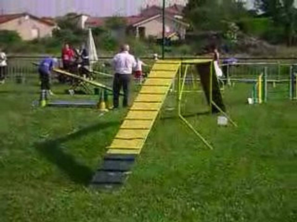 Agility st jean dardiere open Alpha