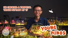 He accidentally created a tropicalised Venus flytrap at 17 | Young Minds