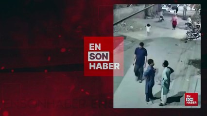 Pakistan'da beslendiği evden kaçan aslan dehşet saçtı