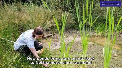 Northamptonshire Telegraph Morning Update 8 July, 2025