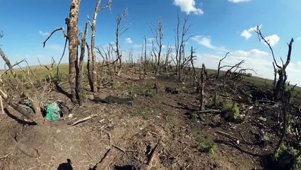 2000 Meters to Andriivka - Official Trailer