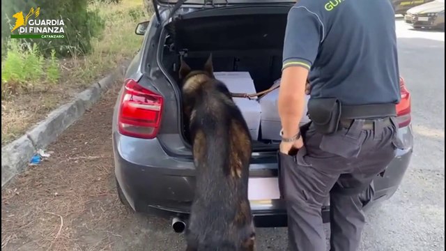 Catanzaro, sequestrati oltre 8 kg di marijuana. Arrestata una persona