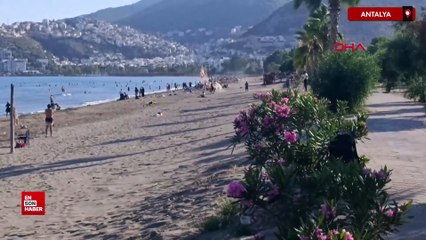 Antalya'da sahildeki başıboş at yola çıkınca otomobil çarptı