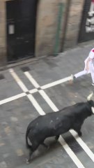 Un toro rezagado se roba el protagonismo del segundo encierro de San Fermín