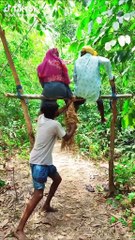 Comedy films and funny videos