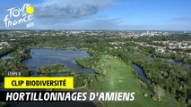 Hortillonnages d'Amiens - Tour de France 2025