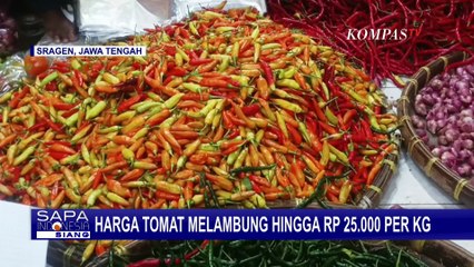 Harga Bumbu Dapur Melonjak di Sragen dan Jambi, Tomat Tembus Rp25 Ribu per Kg | SAPA SIANG