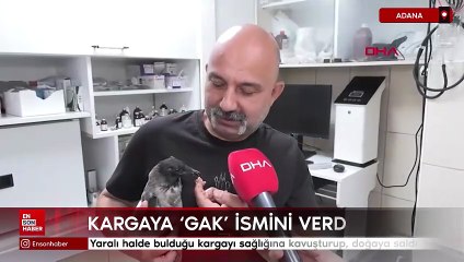 Adana'da yaralı halde bulduğu kargayı sağlığına kavuşturup, doğaya saldı