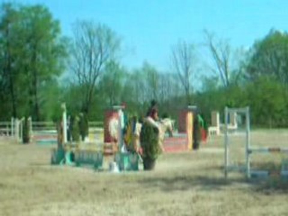 DSCN2293