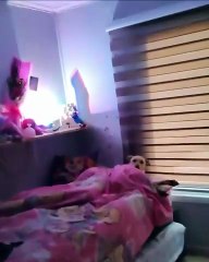 Mon chien adore être bordé dans son lit 🤣