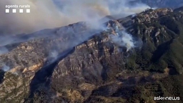 Lotta per contenere gli incendi boschivi nella regione di Tarragona