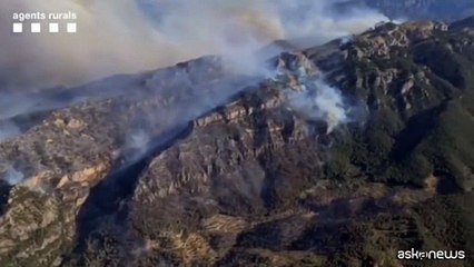 Lotta per contenere gli incendi boschivi nella regione di Tarragona