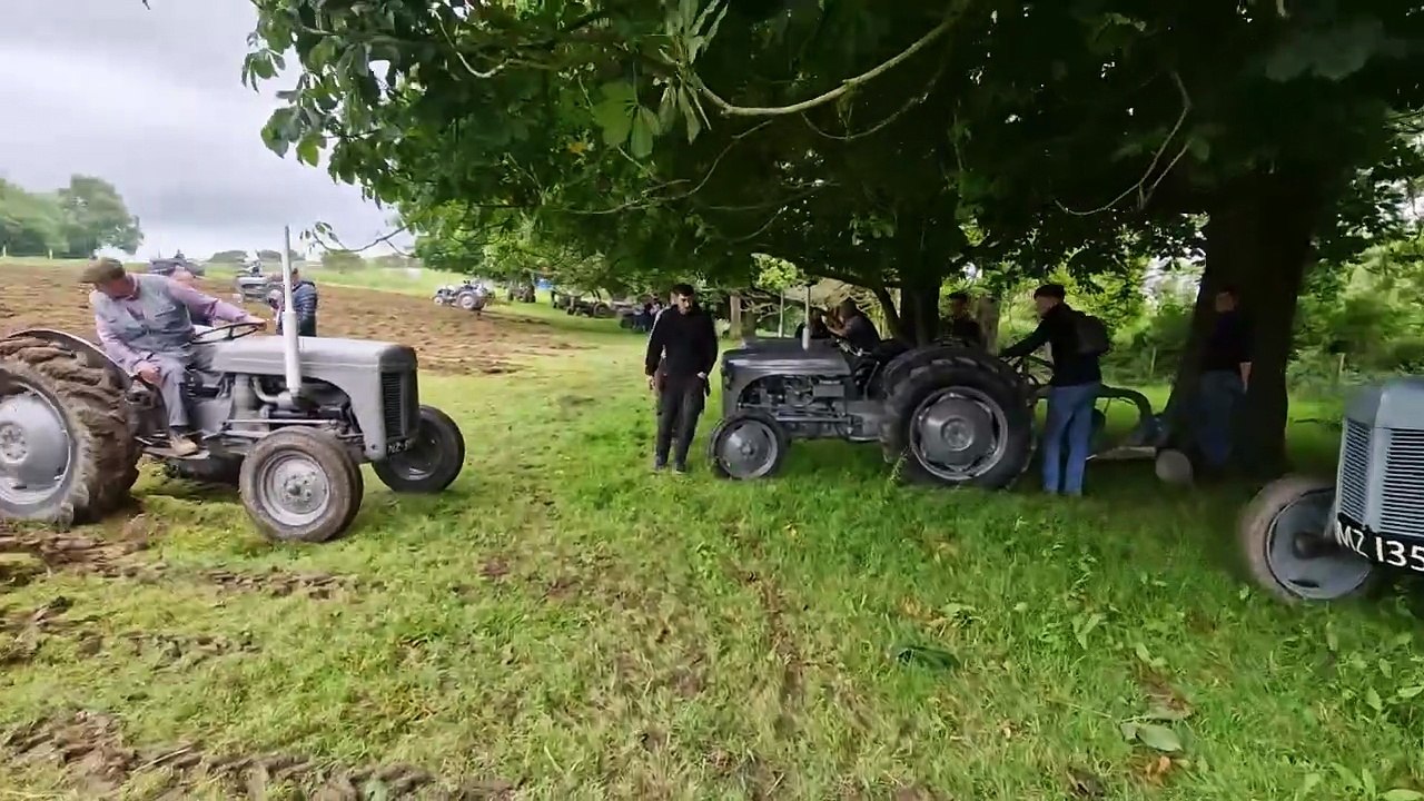 More from the fields at the Ulster Folk Museum on Ferguson Tractor Day