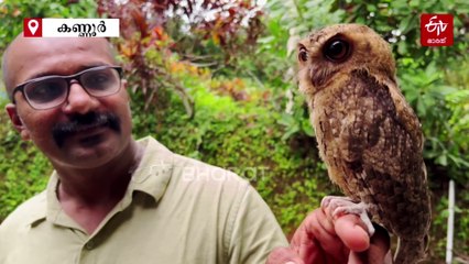 രാത്രി ഇരതേടൽ, പകൽ വീട്ടിലെ കൂട്ട്; കൗതുകമായി മനുഷ്യനും മൂങ്ങയും തമ്മിലെ അപൂർവ സൗഹൃദം