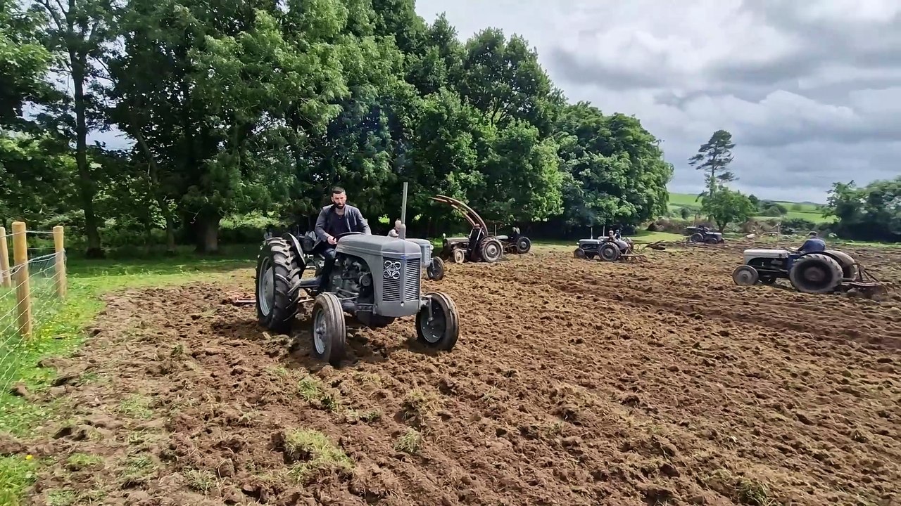 A final video from the fields at the Ulster Folk Museum on Ferguson Tractor Day