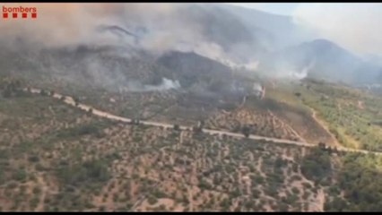 Lotta per contenere gli incendi boschivi nella regione di Tarragona