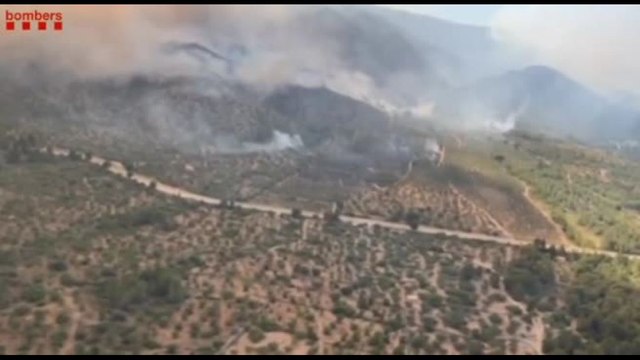 Lotta per contenere gli incendi boschivi nella regione di Tarragona