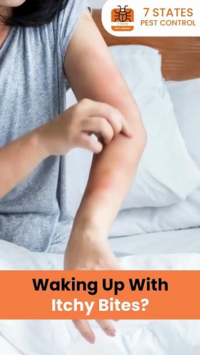 Waking up with itchy bites or red marks on your skin?