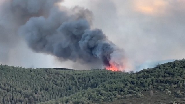 Incendie dans l'Aude : le feu a brûlé plus de 2 000 hectares de végétation