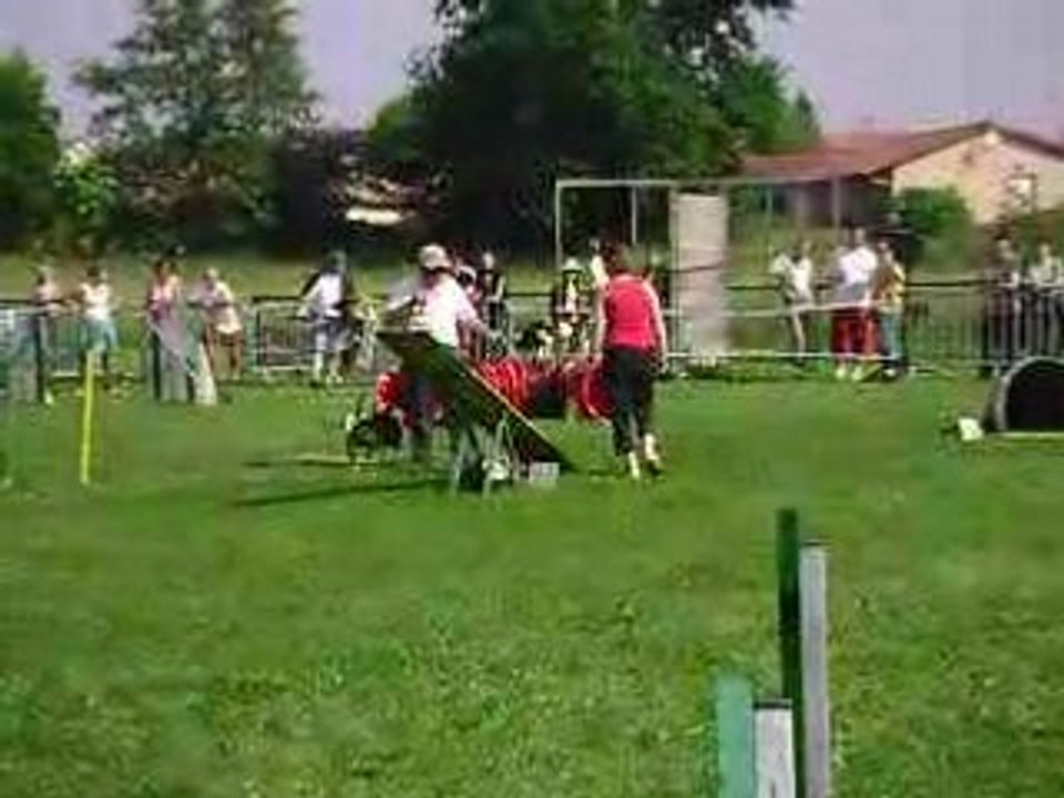 Agility st jean dardiere 1er degré Alpha