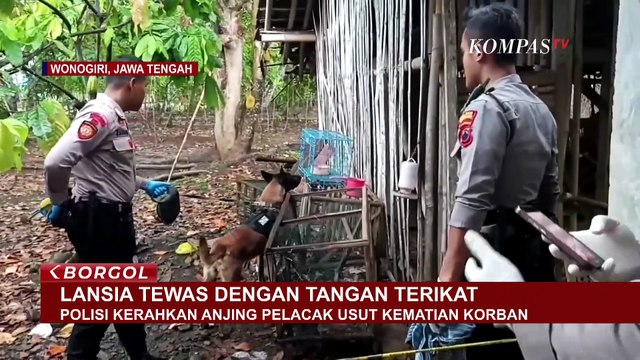 Lansia Tewas Tangan Terikat di Wonogiri, Polisi Kerahkan Anjing Pelacak Ungkap Pelaku | BORGOL