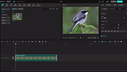 Easy Guide to Flipping Images in CapCut 📱