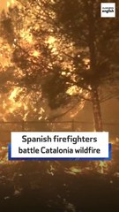 Spanish firefighters battle Catalonia wildfire