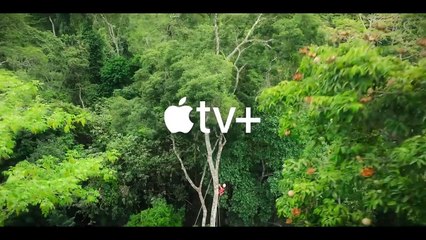 Apple TV+ estreia um documentário de vida selvagem como nunca viu