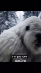One more episode of yeti vlogs please follow him he do very hard work.