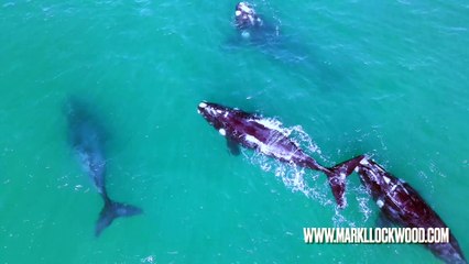 The law of Spiritual Equilibrium