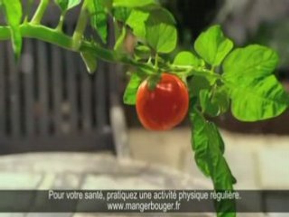 Toutetacom heinz ketchup