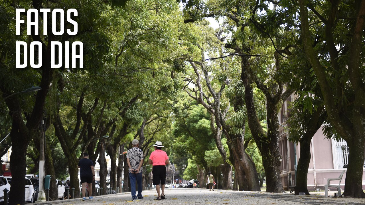 Árvores são refúgios verdes para quem busca fugir do sol e calor no verão amazônico