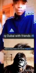 Sir you are ruining everything 😭🤣 👍