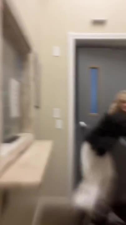 Woman Struggles to Close Door in Massachusetts During Storm