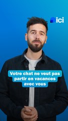 Garder son chat pendant les vacances - Les conseils du véto