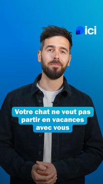 Garder son chat pendant les vacances - Les conseils du véto