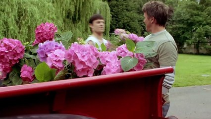 El Hada de los Dientes 2006 Español Latino - The Tooth Fairy