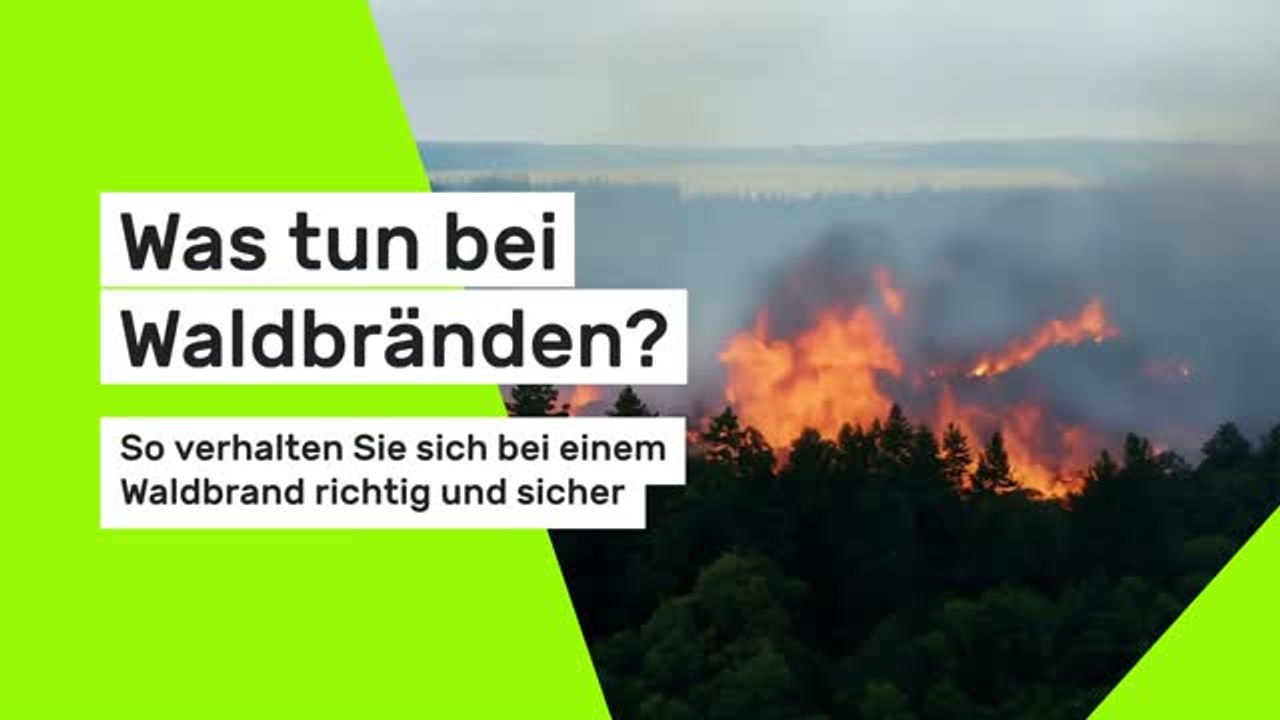 Was tun bei Waldbränden? So verhalten Sie sich bei einem Waldbrand richtig und sicher