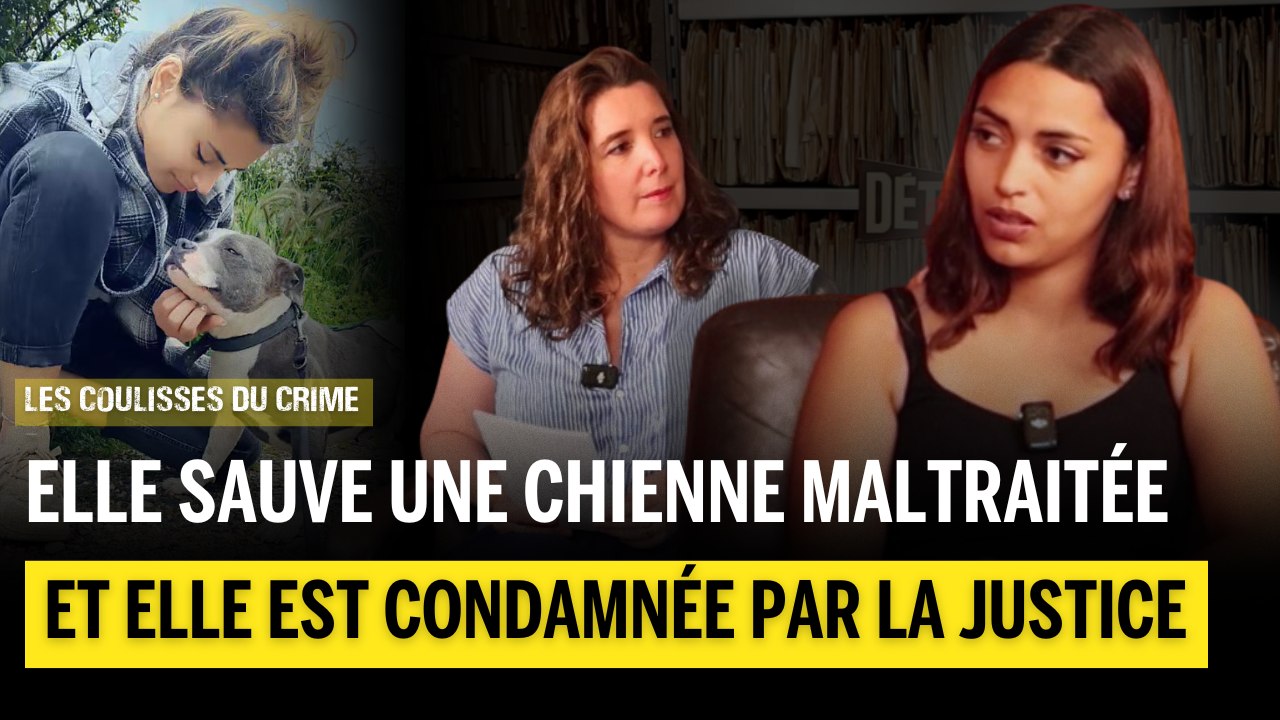 Elle sauve une chienne abandonnée… et finit en garde à vue !