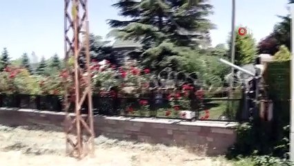 Çiftçiye saldıran aslanın sahibi ilk kez konuştu!