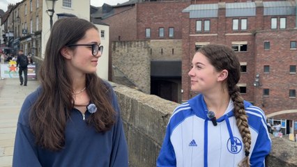 Pets and Animal Cruelty In the North East