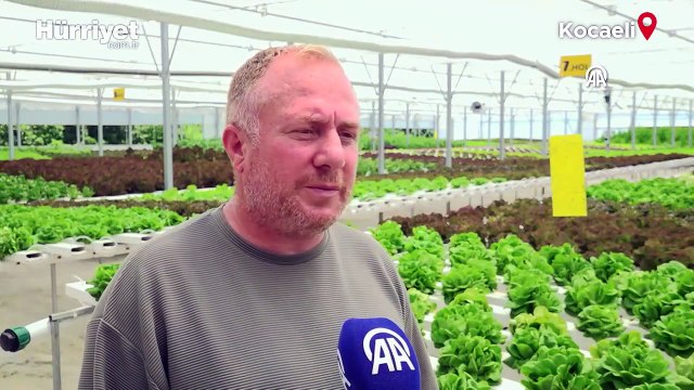 Turizmciliği bırakıp topraksız tarıma başlayan girişimci, ayda 10 tona yakın ürün alıyor!