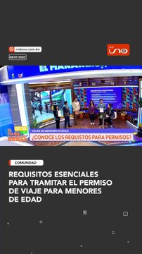 REQUISITOS VIAJES MENORES