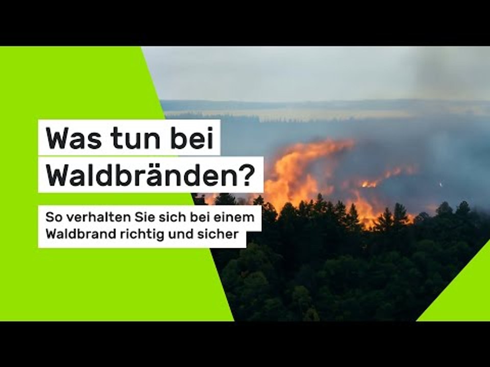 Was tun bei Waldbränden? So verhalten Sie sich bei einem Waldbrand richtig und sicher