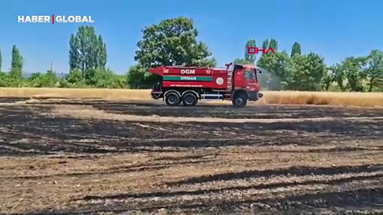 Biçerdöver kaynaklı yangında 2,5 dekar ekili buğday yandı