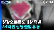 근육 키운다고 성장 호르몬 투약...54억 원 상당 불법 유통 / YTN