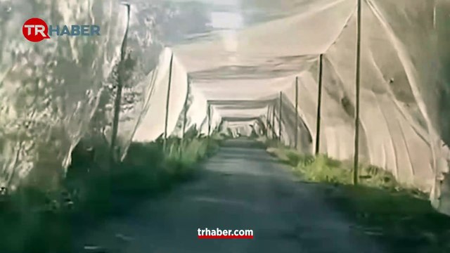 Hamsi değil İHA avlayacak! Karadeniz'de balık ağları bu sefer dronlar için serildi