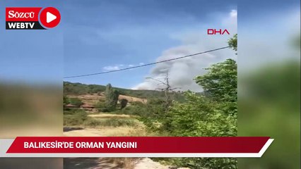 Balıkesir'de orman yangını